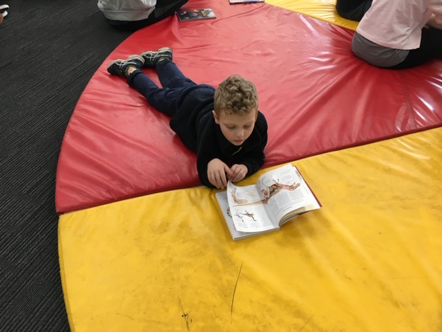 /uploaded_files/media/gallery/1600300169Lachlan reading.jpeg